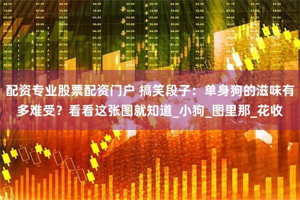 配资专业股票配资门户 搞笑段子：单身狗的滋味有多难受？看看这张图就知道_小狗_图里那_花收