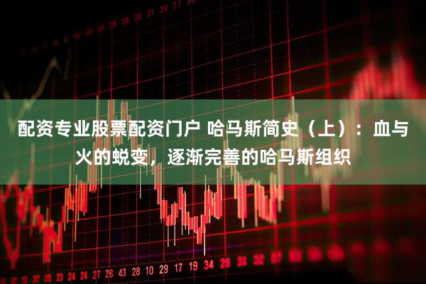 配资专业股票配资门户 哈马斯简史（上）：血与火的蜕变，逐渐完善的哈马斯组织